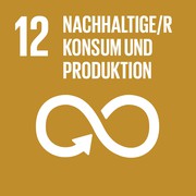 SDG 1 - Keine Armut